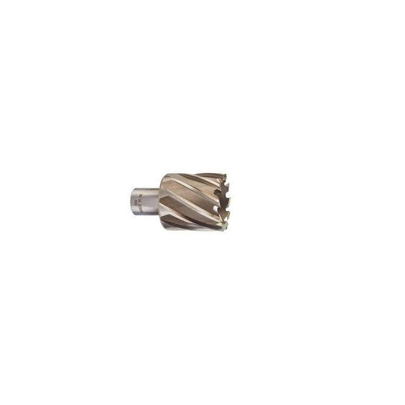 FRAISE A FILETER 34X30 MM P1M 4932371743