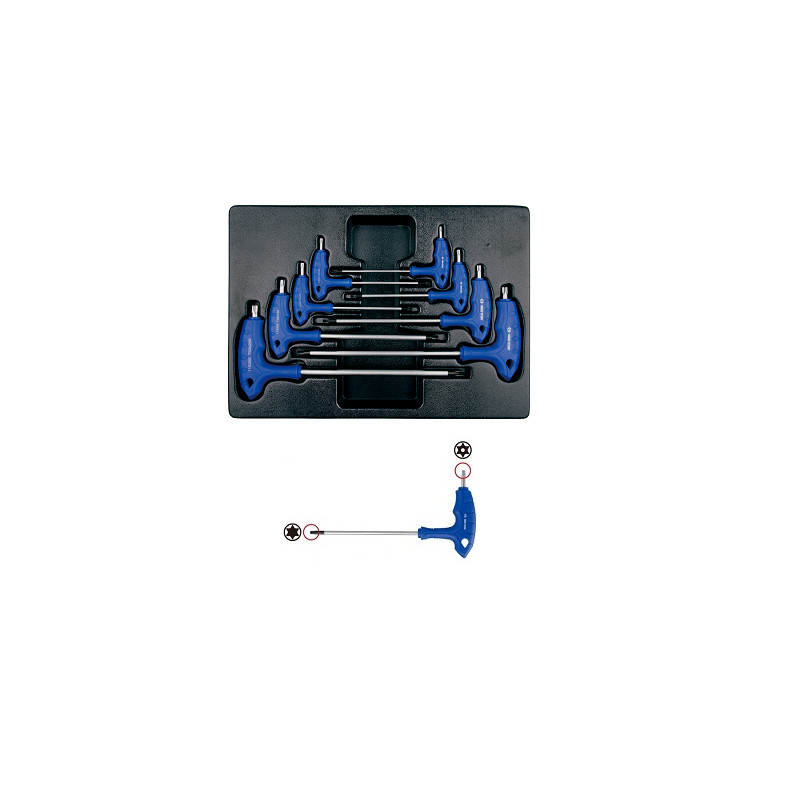 MODULE SERVANTE 8 PCS CLE TORX EN L AVEC TROU-KT